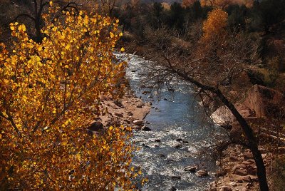 Autumn on the Virgin River