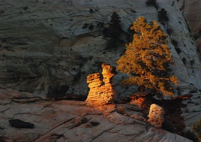 Last Light