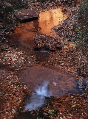  Puddle of Light