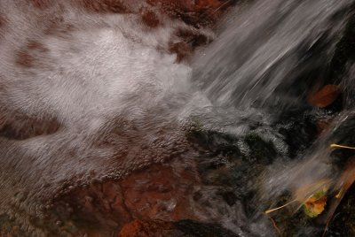 Splash