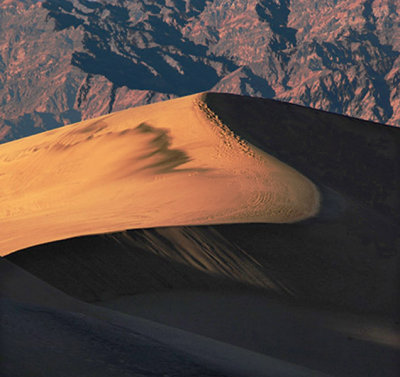 Sand Dunes: A Study in Light and Form