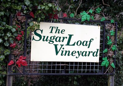 IMG_3715 Sugar Loaf Vineyard.jpg