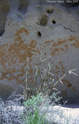 Navajo Ruins