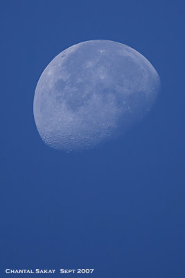 Day-Moon-3041.jpg