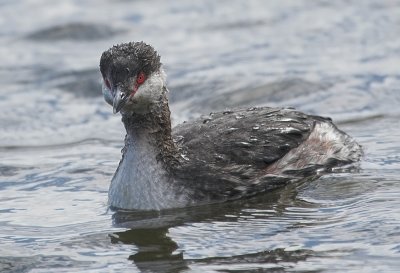 g6/82/662182/3/76289304.ZK6o2j6R.jpg