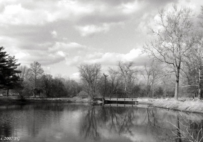 Cloud Reflections
