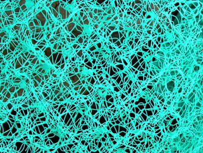 Web in Turquoise