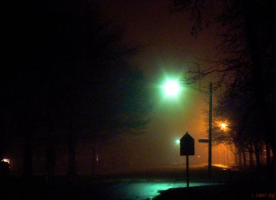 Foggy Night Watch