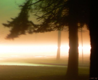 Empty Street on a Foggy Night: Car Passing