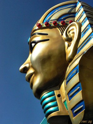 Pharaoh's Cheek