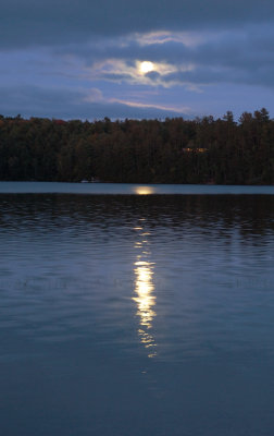 DSC_8445.jpg