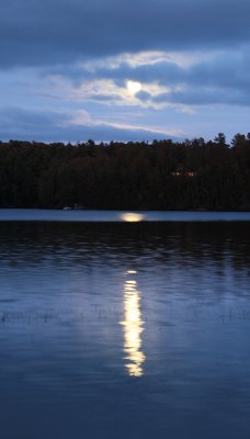 DSC_8446.jpg