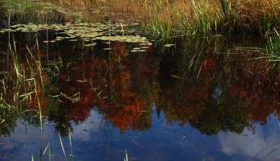 DSC_8191.jpg