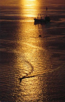 golden lake.jpg