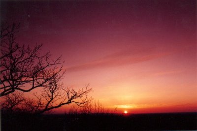 red sky.jpg
