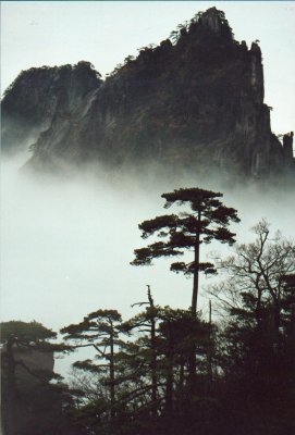 wang shan 1.jpg