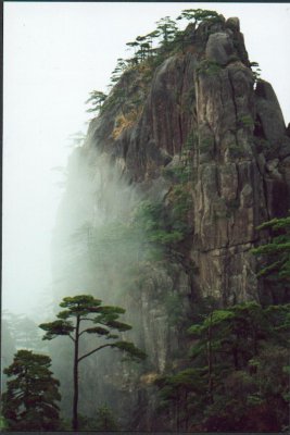 wang shan 2.jpg