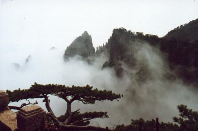 wang shan 3.jpg