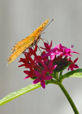 2BfY11166-0005.jpg