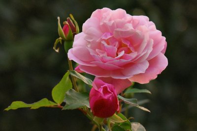 7Feb70017.jpg