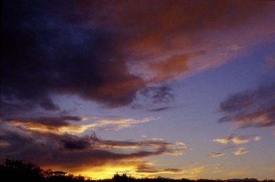 W_Sunset01.jpg