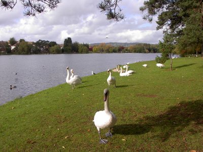 UK 10 2004 001.jpg