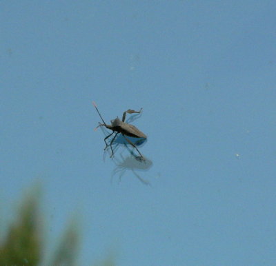 P1050030_1.jpg