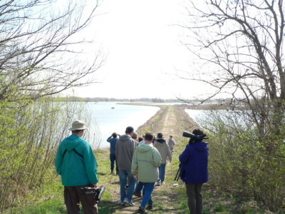 Iowa City Bird Club