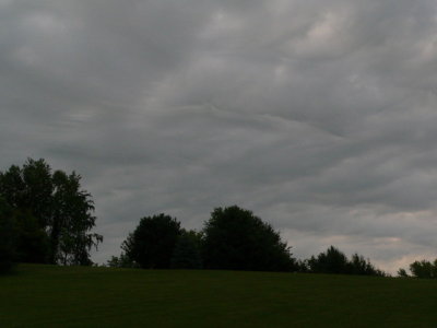 P1050066.jpg