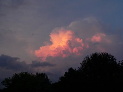 P1070631.jpg