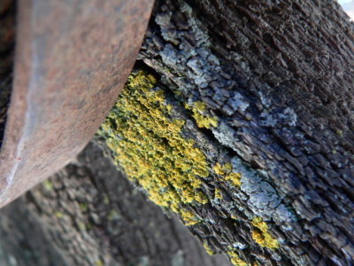 Detail of old wagon wheel spoke