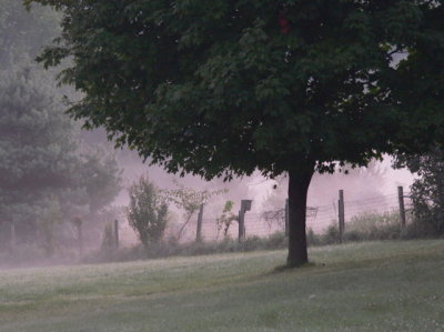 Country Morning Fog I