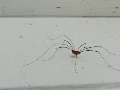 P1070882_1.jpg
