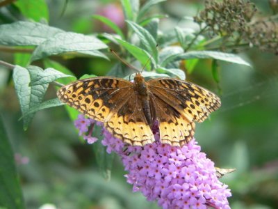 g6/82/779682/3/86332050.QlZ9nvK5.jpg