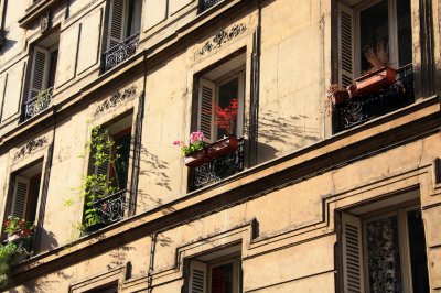 flowers in window sill, paris, france (5/07)