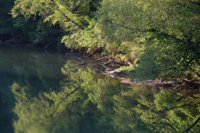 reflections on the chattahoochee