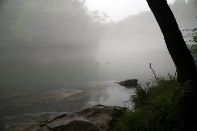 ducks in the haze, the chattahoochee river national recreation area, medlock bridge unit