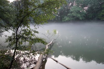 morning mist over the chattahoochee, the chattahoochee river national recreation area, medlock bridge unit