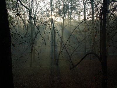 november`s morning in a park