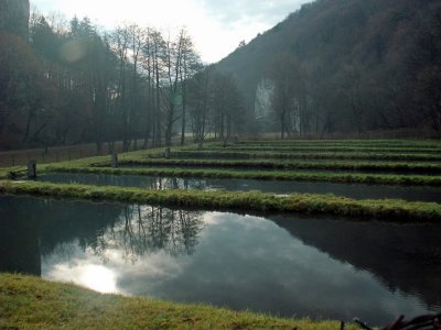 trout`s farm