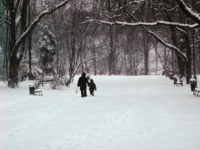 morning way to kindergarten