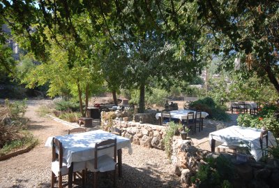 Museum patio