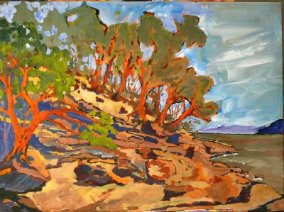 Drumbeg Park Gabriola Island, A/C 18x24, 2006 (sold)