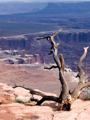 canyonlands