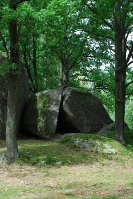 Waldviertel_Blockheide-21.jpg