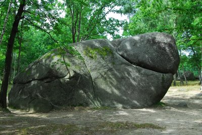 Waldviertel_Blockheide-23.jpg