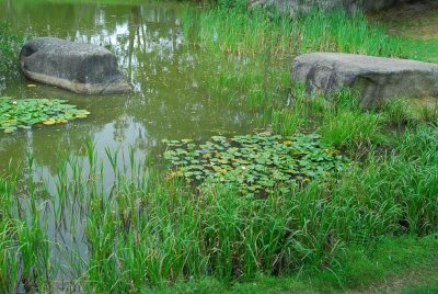 Waldviertel_Blockheide-5.jpg
