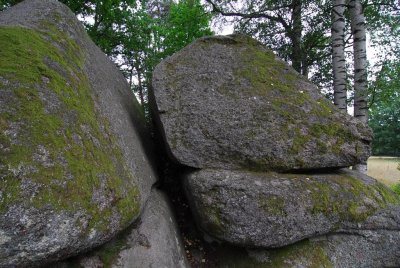 Waldviertel_Blockheide-7.jpg