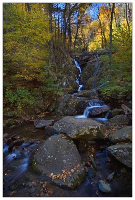 Rose Falls