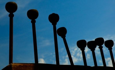 g6/83/267083/3/78797019.Oq0W1LZM.jpg